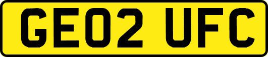 GE02UFC