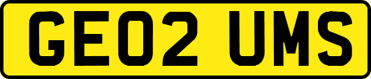 GE02UMS