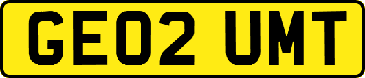 GE02UMT