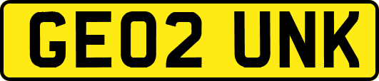 GE02UNK