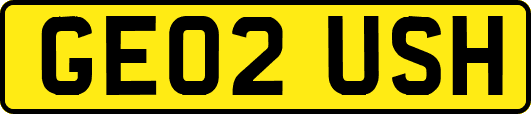 GE02USH
