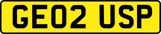 GE02USP