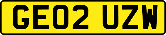 GE02UZW