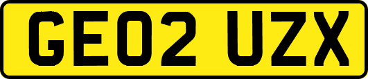 GE02UZX