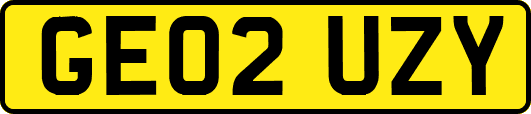 GE02UZY
