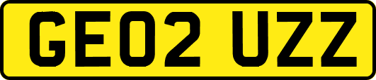 GE02UZZ