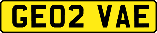 GE02VAE