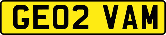 GE02VAM