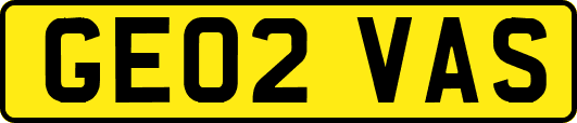 GE02VAS