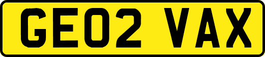 GE02VAX