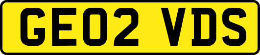 GE02VDS