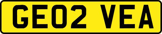 GE02VEA