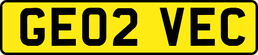 GE02VEC