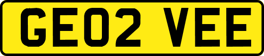 GE02VEE