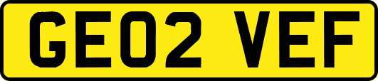 GE02VEF
