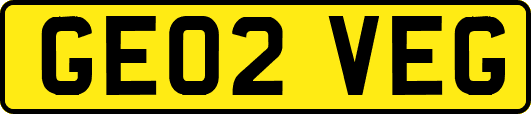 GE02VEG