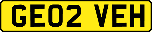 GE02VEH