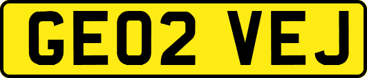 GE02VEJ