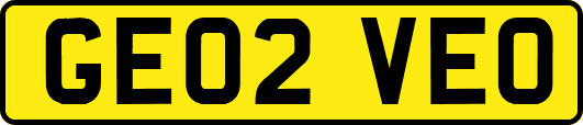 GE02VEO