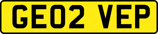 GE02VEP
