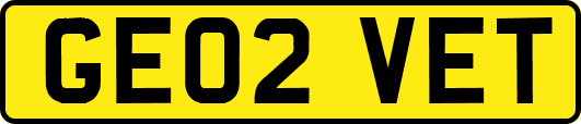 GE02VET