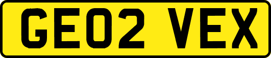GE02VEX