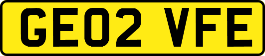 GE02VFE