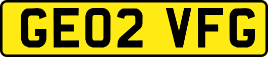 GE02VFG