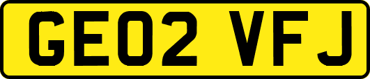 GE02VFJ