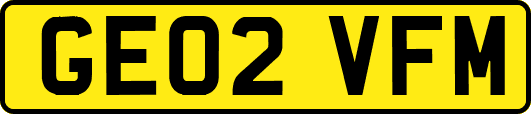 GE02VFM