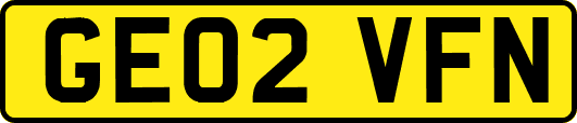 GE02VFN