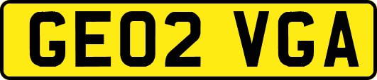 GE02VGA