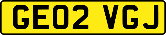 GE02VGJ