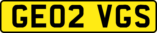 GE02VGS