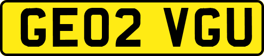 GE02VGU