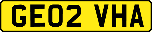 GE02VHA