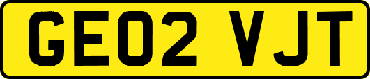 GE02VJT