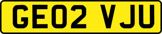 GE02VJU