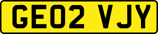 GE02VJY