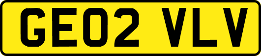 GE02VLV