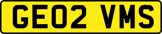 GE02VMS