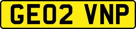 GE02VNP