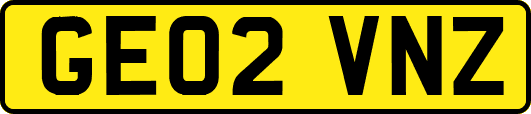 GE02VNZ