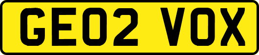 GE02VOX