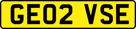 GE02VSE