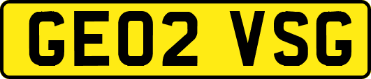 GE02VSG
