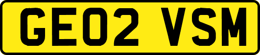 GE02VSM
