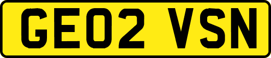 GE02VSN