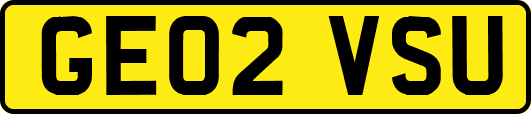 GE02VSU