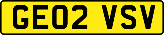 GE02VSV